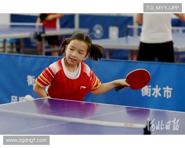 乒乓球的魅力与精神：深入了解杭州乒乓球队的训练与文化